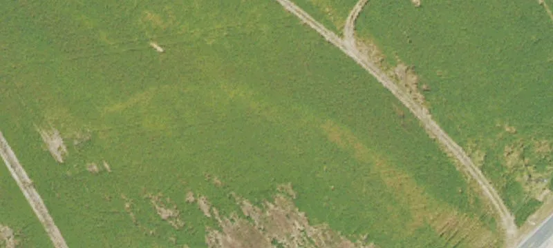 Address Not Disclosed