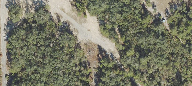 Apalachicola Cir
