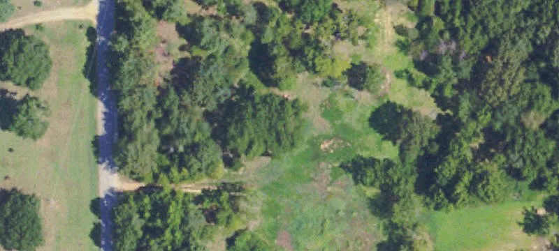 675 Mount Olive Rd