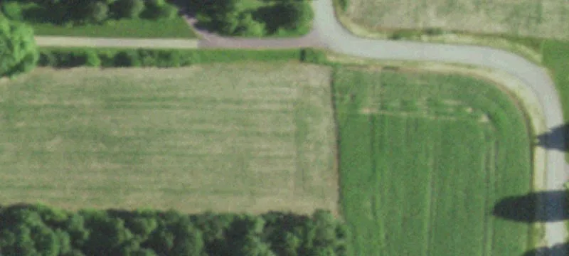 Profitable Subway Franchise For Sale In Sauk County