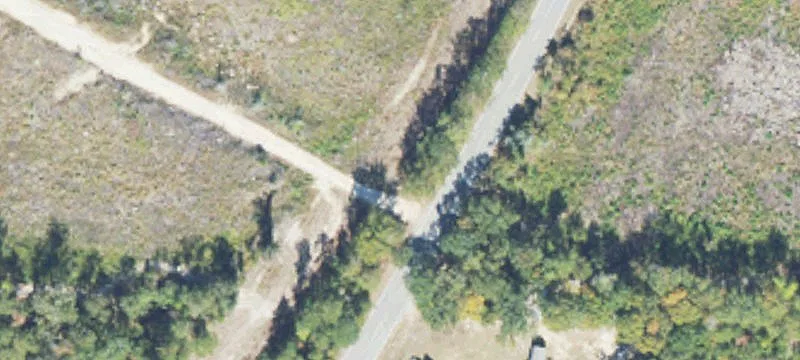 Roy Webb Rd