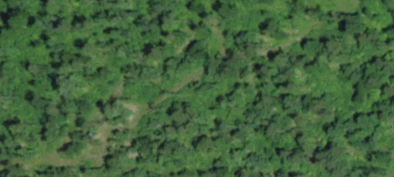 83 Acres Off Delbridge Rd