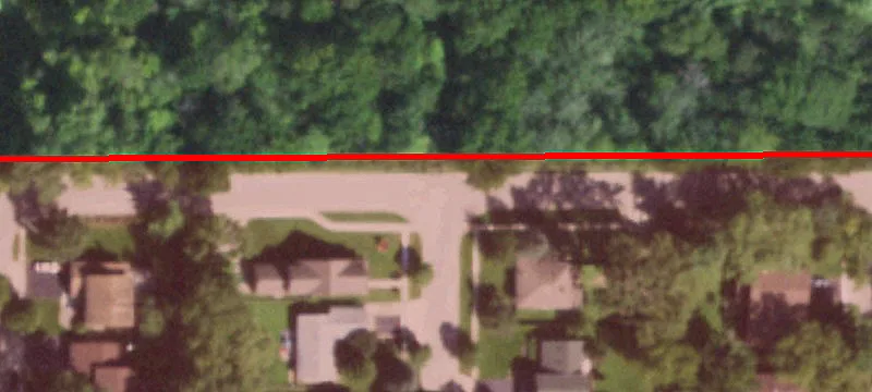 19 Birch St