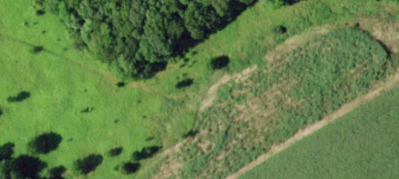 Freer Holw Rd