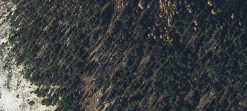 235 Whiskey Gulch Rd