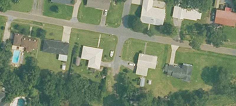 Fern Ave