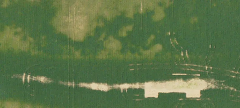 99 Acres In Sunflower