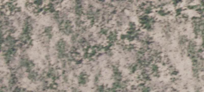Dryden, TX 78851