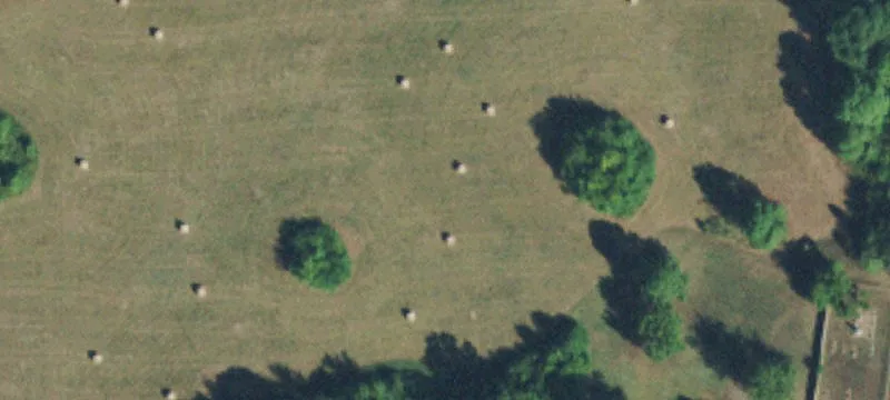 Old Bacone Rd