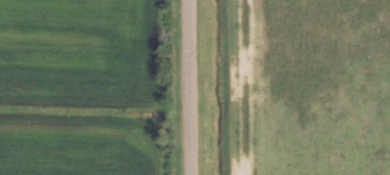 Neuman Rd