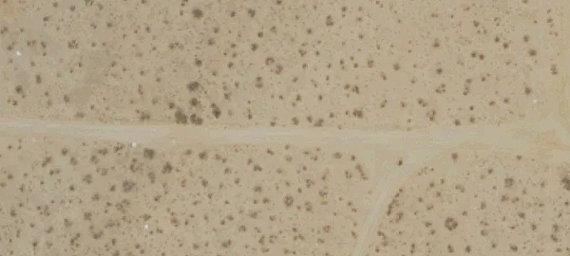 ±10 Acres Mojave Dr