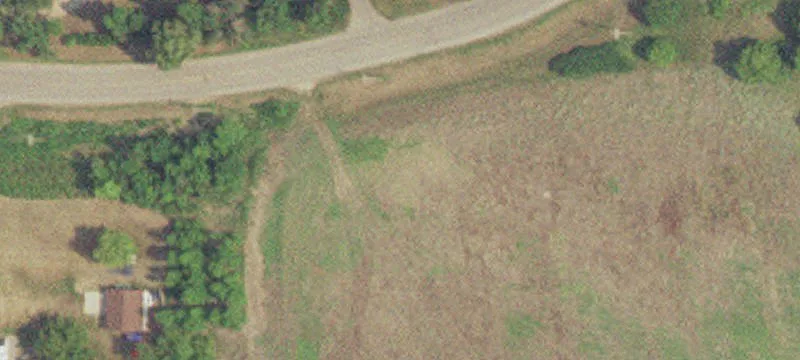 2502 Adaline Ln