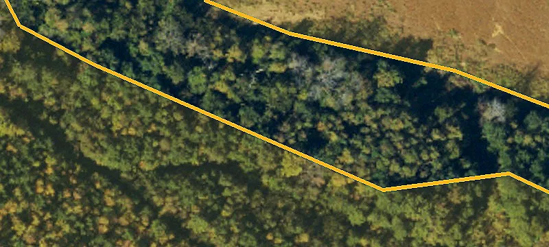 1447 Trollingwood Hawfields Rd