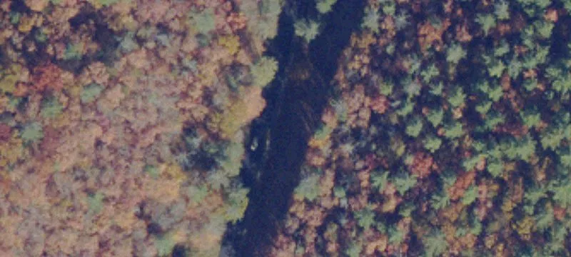 928 Price Ridge Rd