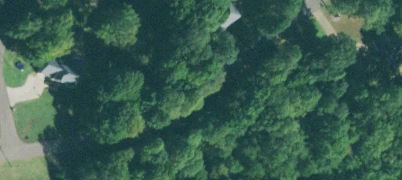 Redbud Ln
