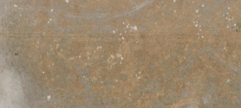 301