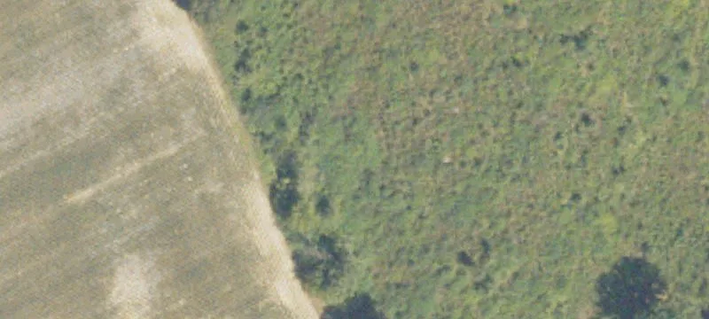 23.5 Acres Miles Rd