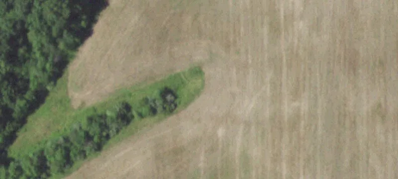 3913 Limit Ave