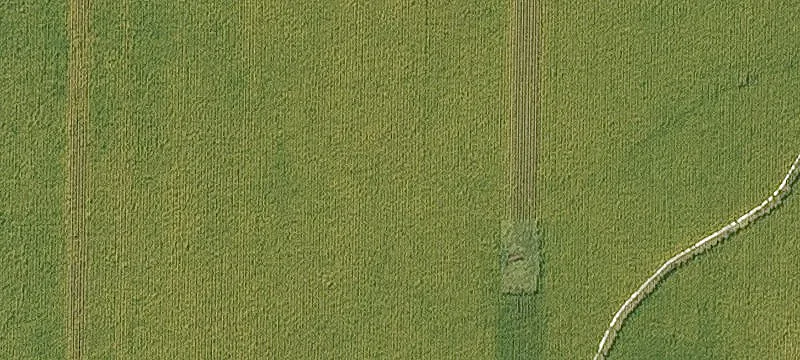 Family Farm Ln