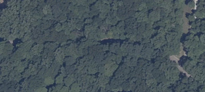 Lincoln Springs Rd