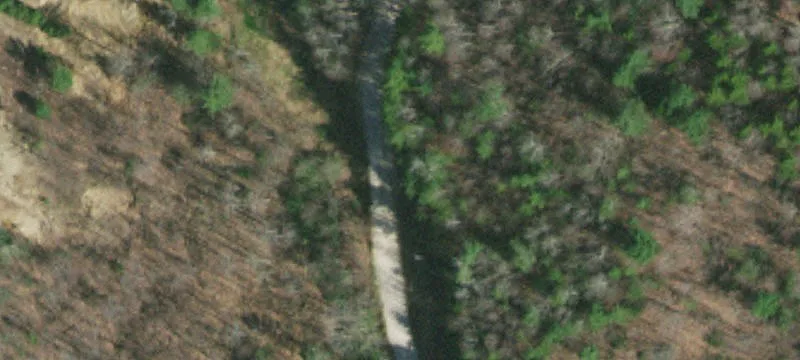 Heartwood Ln