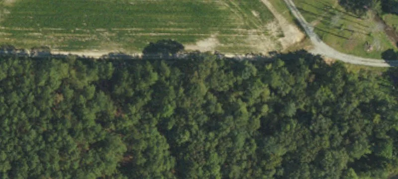 2316 Piney Grove-Wilbon Rd