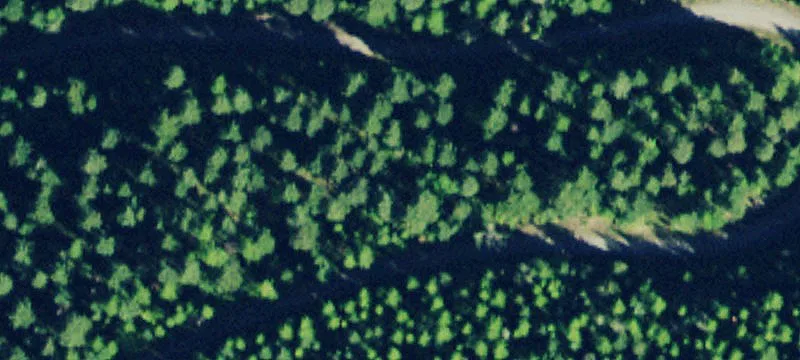 30.25 Acres Fortine Crk Rd