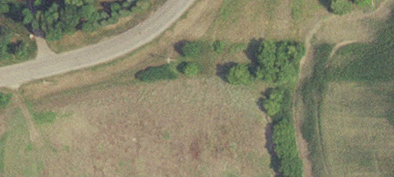 2501 Adaline Ln