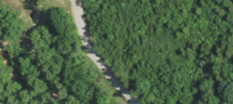 Redbird Dr