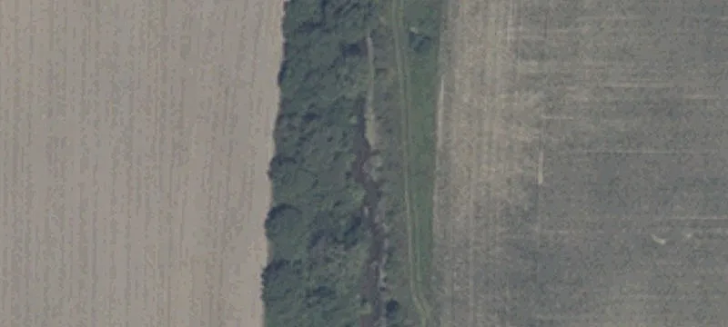 Homes Barns & Pond 46.61 +/- Acres Rural Est