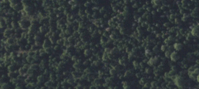 Cedar Crest, NM 87008