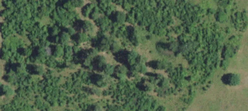 Adams Ln