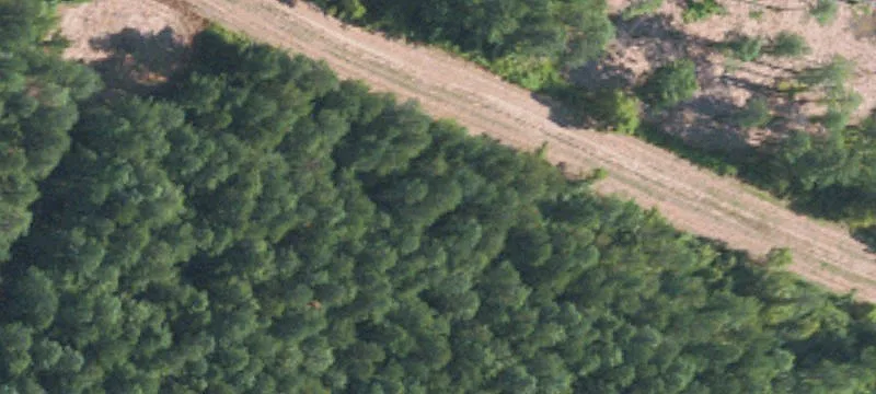 174 Acres In Montgomery
