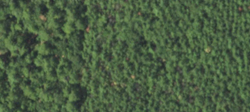 Solitude In Houston County