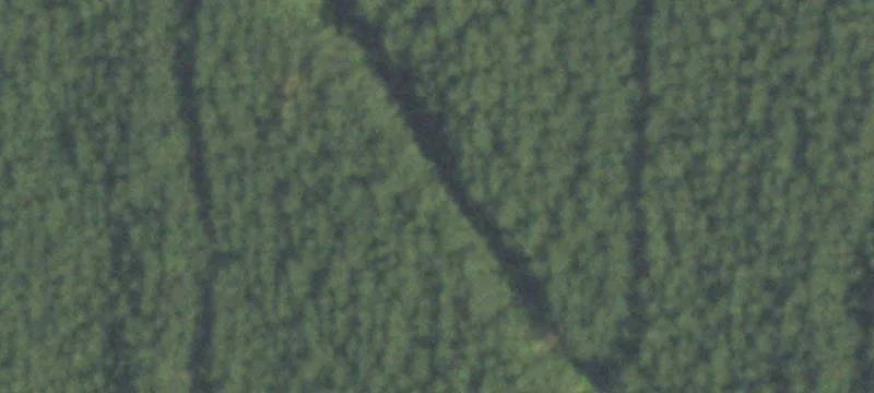 01 Fm 2802