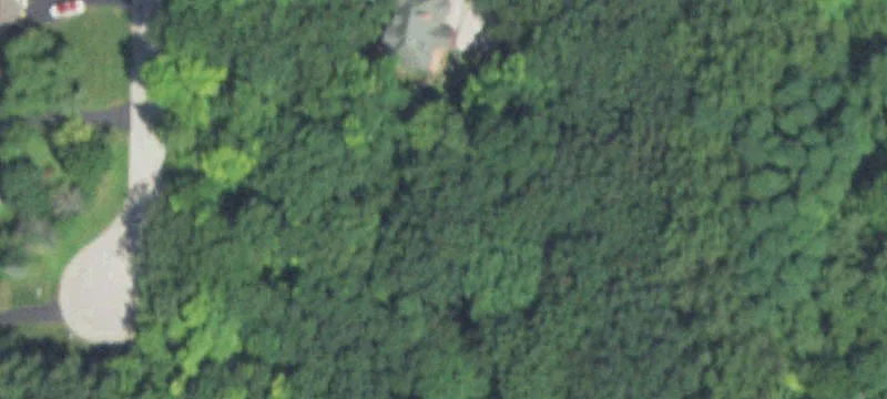 204 Hollow Way