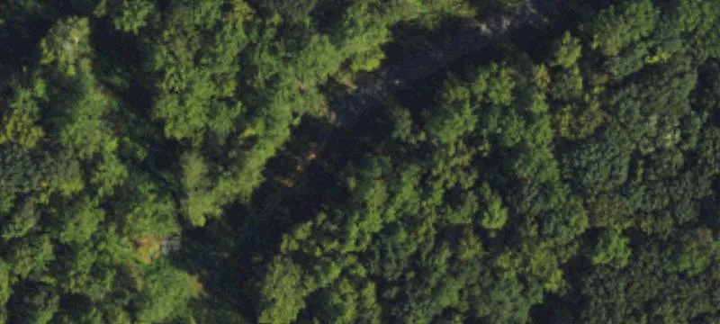 7001 Roxboro Road/501