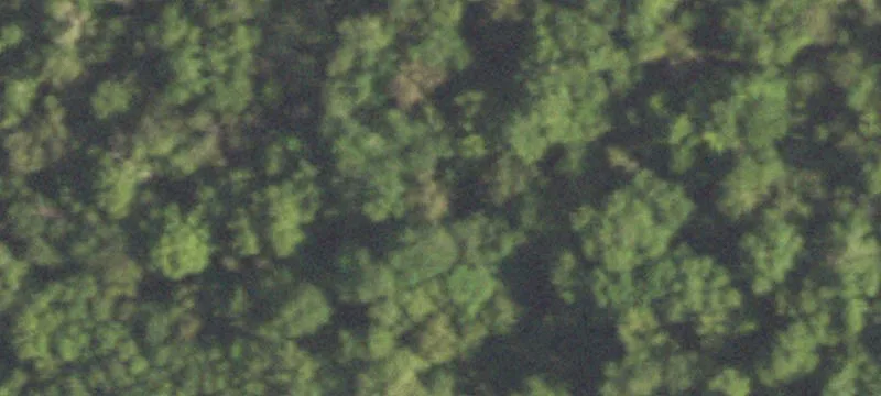 1200 Highway 6