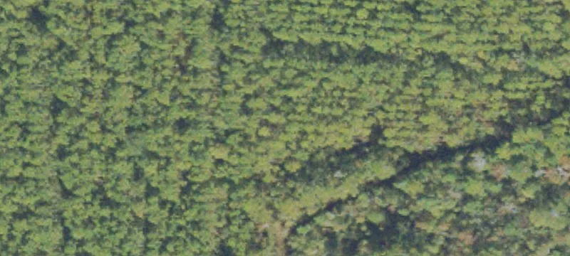 Atkinson GA USA Dogwood Rd