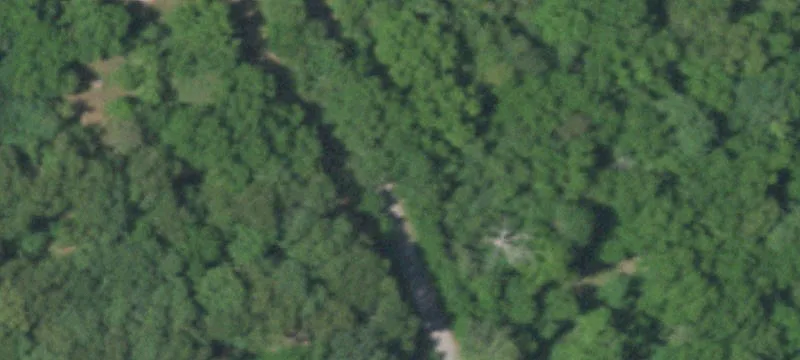 Piney Tower Rd