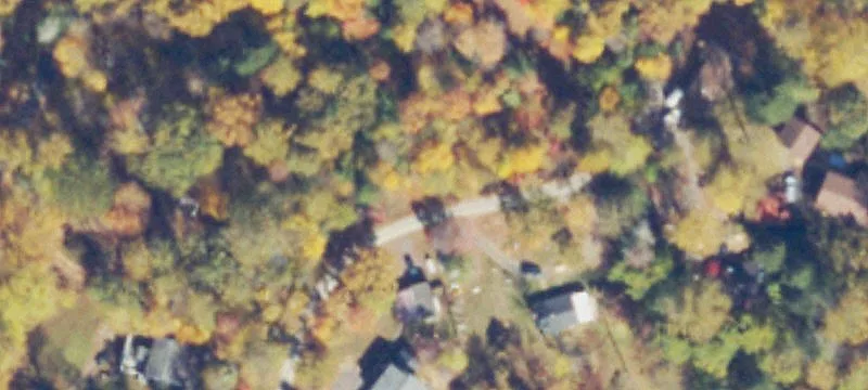 Pine Cir