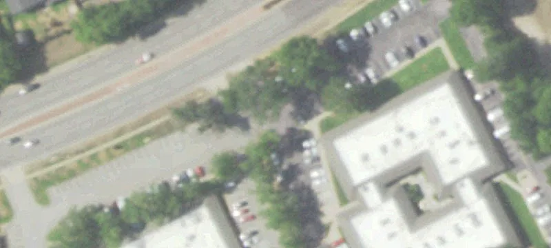 1121 Loop