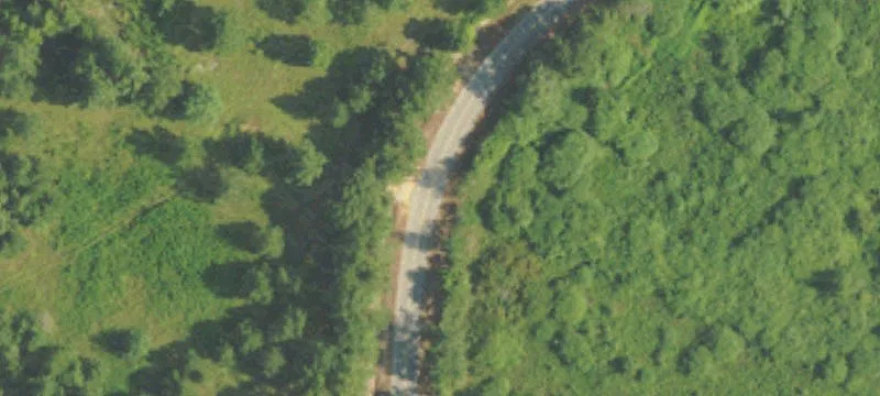 Patterson Rd