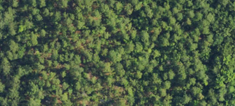 24 Nc-87