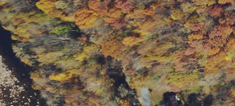 Wv-72