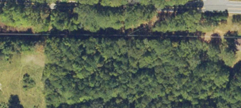 Laney Rd