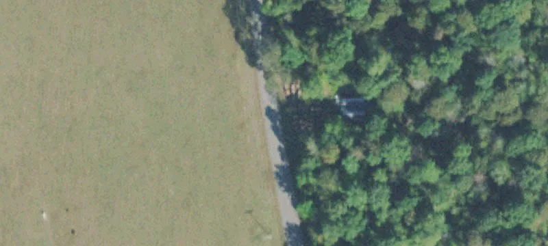 Coy Johnson Rd
