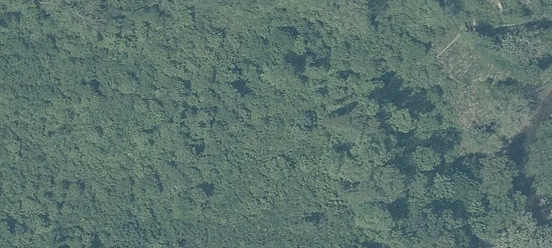 Bucklick Creek Rd