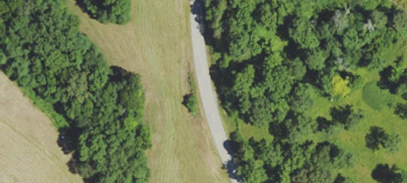 85 Blue Lick Spur