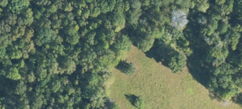 8195 Us Hwy